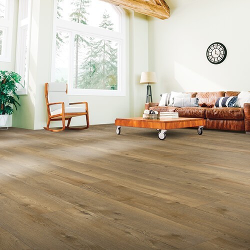 Living room Laminate flooring | Design Waterville