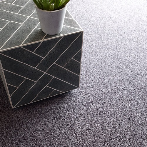 Grey Carpet | Design Waterville