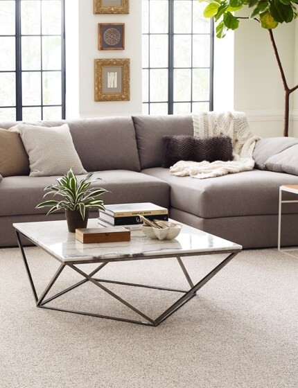 Living room Carpet | Design Waterville