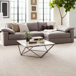 Carpet Flooring | Design Waterville