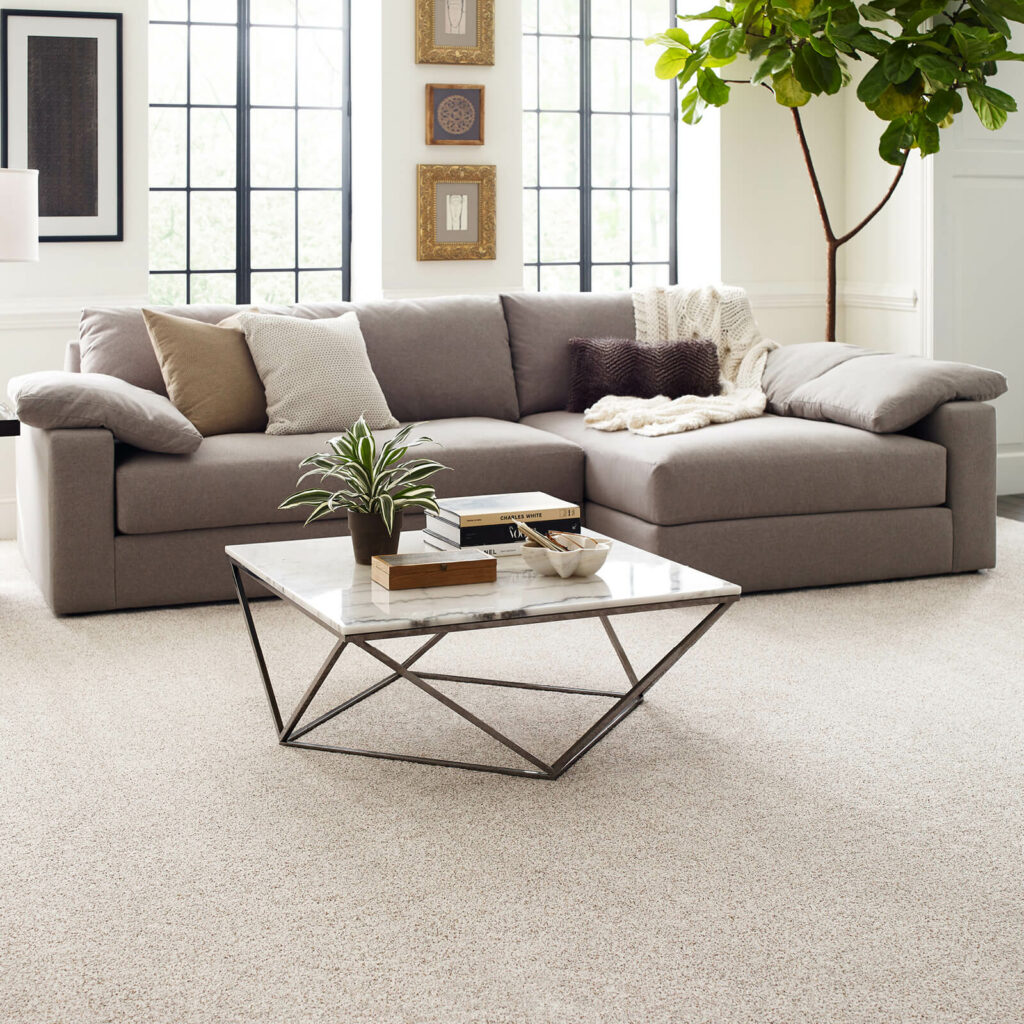 Carpet flooring | Design Waterville